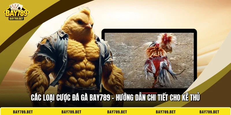 Các Loại Cược Đá Gà BAY789 - Hướng Dẫn Chi Tiết Cho Kê Thủ