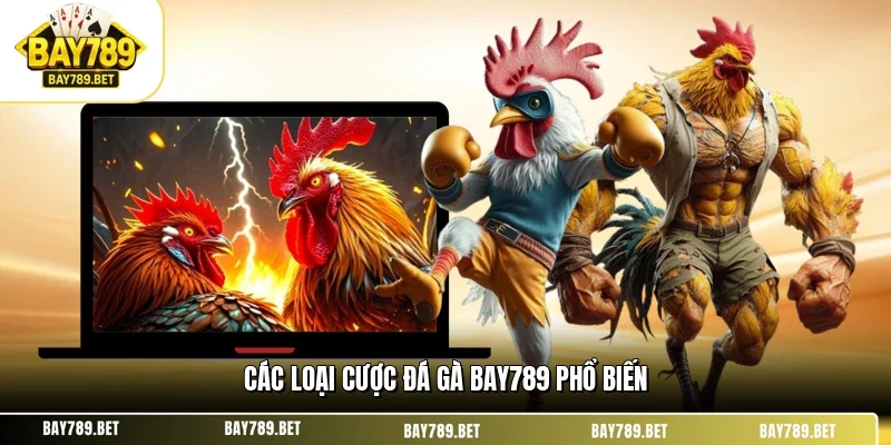 Các loại cược đá gà BAY789 phổ biến