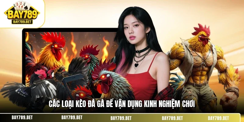 Kinh Nghiệm Xem Kèo Đá Gà BAY789 Chuẩn Từ Lão Làng 2 Các loại kèo đá gà để vận dụng kinh nghiệm chơi