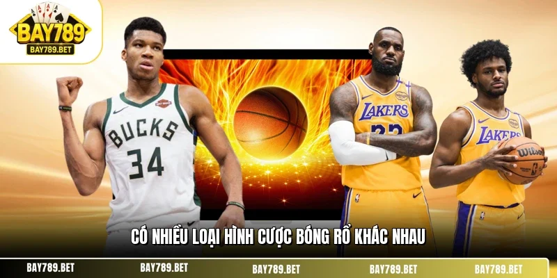 Cá Cược Bóng Rổ BAY789 - Chiến Thuật Soi Kèo Cực Chất 2 Có nhiều loại hình cược bóng rổ khác nhau