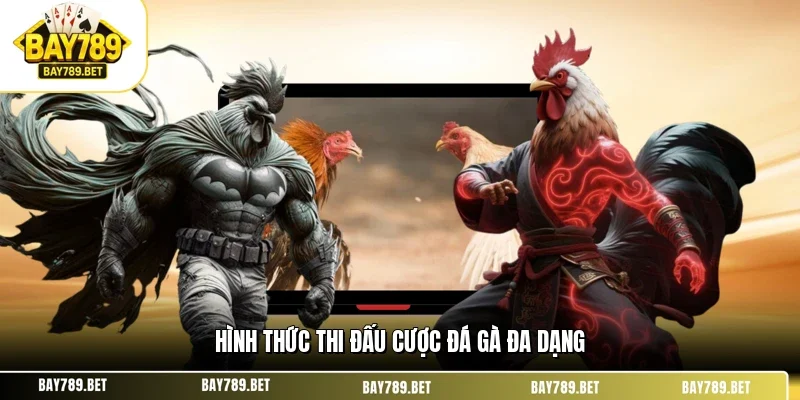 Hình thức thi đấu cược đá gà đa dạng