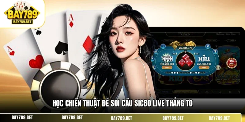 Sicbo Live BAY789 – Sảnh Cược Tài Xỉu Trực Tuyến Minh Bạch 3 Học chiến thuật để soi cầu sicbo live thắng to