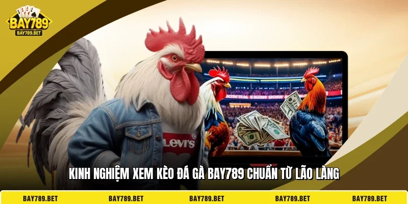 Kinh Nghiệm Xem Kèo Đá Gà BAY789 Chuẩn Từ Lão Làng