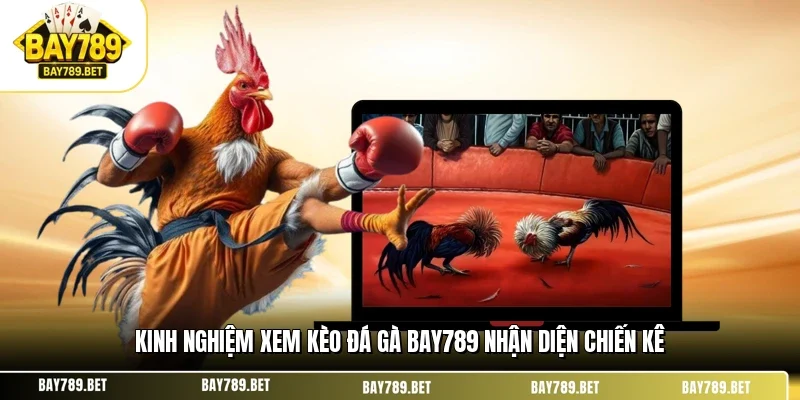 Kinh Nghiệm Xem Kèo Đá Gà BAY789 Chuẩn Từ Lão Làng 1 Kinh nghiệm xem kèo đá gà BAY789 nhận diện chiến kê