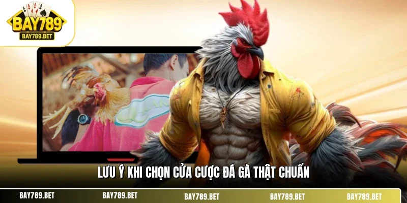 Kinh Nghiệm Xem Kèo Đá Gà BAY789 Chuẩn Từ Lão Làng 3 Lưu ý khi chọn cửa cược đá gà thật chuẩn