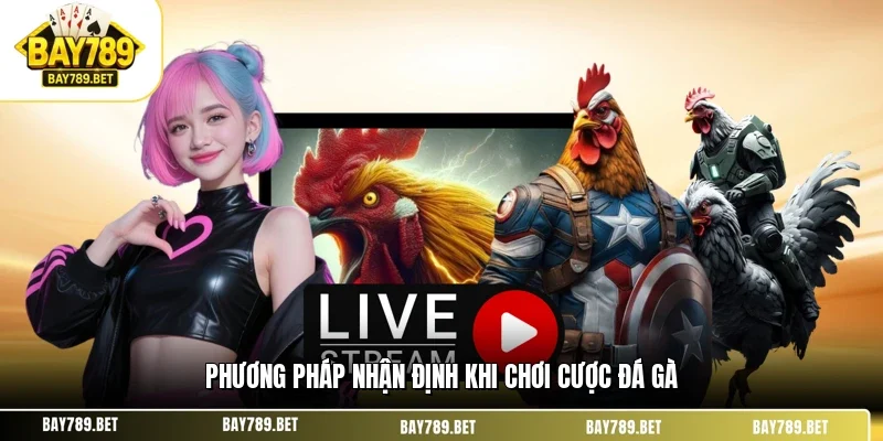 Đá Gà BAY789 3 Phương pháp nhận định khi chơi cược đá gà