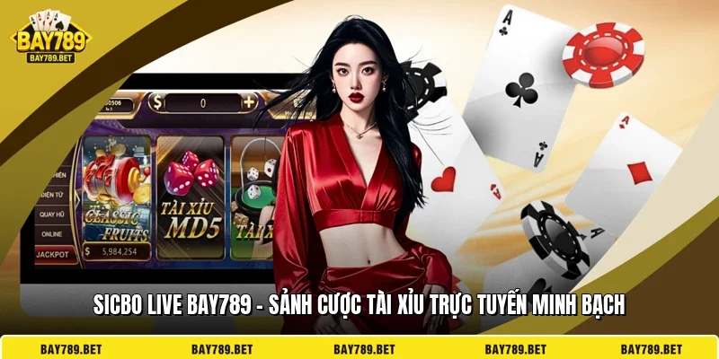 Sicbo Live BAY789 – Sảnh Cược Tài Xỉu Trực Tuyến Minh Bạch