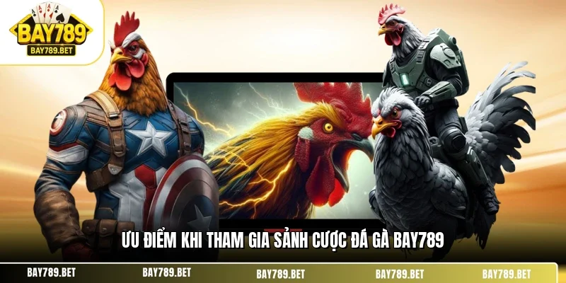 Đá Gà BAY789 1 Ưu điểm khi tham gia sảnh cược đá gà BAY789