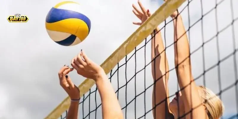 Cá Cược Bóng Chuyền Bay789: Kinh Nghiệm Đặt Kèo & Chiến Thuật Tối Ưu Tỷ Lệ Thắng 1 Bảng tỷ lệ kèo cá cược bóng chuyền Bay789 giao diện trực quan cập nhật theo thời gian thực.