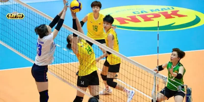 Cá Cược Bóng Chuyền Bay789: Kinh Nghiệm Đặt Kèo & Chiến Thuật Tối Ưu Tỷ Lệ Thắng 3 Giao diện thống kê chỉ số chi tiết từng hiệp đấu bóng chuyền trên nền tảng Bay789.