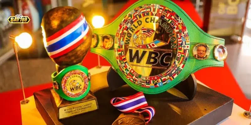 Cá Cược Boxing WBC Bay789: Soi Kèo Chuẩn Từ Số Liệu Real-Time 2 Bảng tỷ lệ cược phương thức chiến thắng KO/TKO mang lại lợi nhuận vượt trội.
